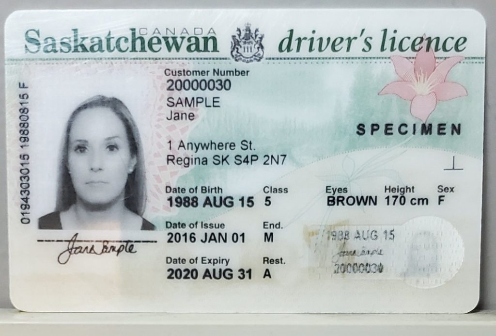 Get Saskatchewan drivers licence