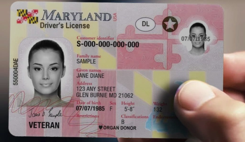 Real Maryland Drivers license
