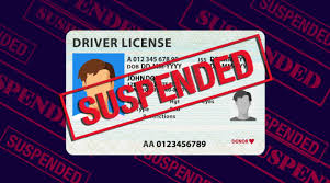 Purchase a legitimate driver's license from the EU, UK, Canada, or the United States. Purchase European drivers licenses, acquire residence permits, obtain passports and ID cards, including diplomatic passports. We offer a range of options such as German driver's licenses, Dutch ID cards, and UK licenses. Purchase a driving license, obtain a European driving license, acquire an international driving licence, regain your revoked licence. Purchase a boat license and acquire a hunting license, ship license and more.