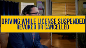 Purchase a legitimate driver's license from the EU, UK, Canada, or the United States. Purchase European drivers licenses, acquire residence permits, obtain passports and ID cards, including diplomatic passports. We offer a range of options such as German driver's licenses, Dutch ID cards, and UK licenses. Purchase a driving license, obtain a European driving license, acquire an international driving licence, regain your revoked licence. Purchase a boat license and acquire a hunting license, ship license and more.