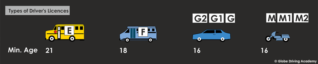 Purchase a legitimate driver's license from the EU, UK, Canada, or the United States. Purchase European drivers licenses, acquire residence permits, obtain passports and ID cards, including diplomatic passports. We offer a range of options such as German driver's licenses, Dutch ID cards, and UK licenses. Purchase a driving license, obtain a European driving license, acquire an international driving licence, regain your revoked licence. Purchase a boat license and acquire a hunting license, ship license and more.