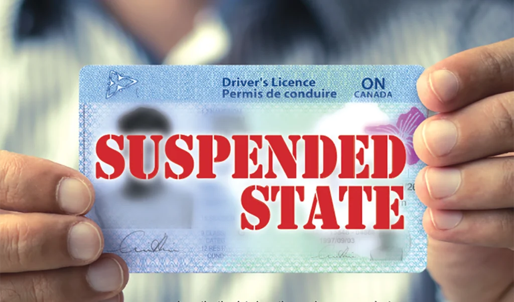 Purchase a legitimate driver's license from the EU, UK, Canada, or the United States. Purchase European drivers licenses, acquire residence permits, obtain passports and ID cards, including diplomatic passports. We offer a range of options such as German driver's licenses, Dutch ID cards, and UK licenses. Purchase a real driving license, obtain a European driving license, acquire an international driving licence, regain your revoked licence. Purchase a boat license and acquire a hunting license