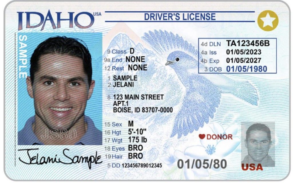 Idaho Driver’s License