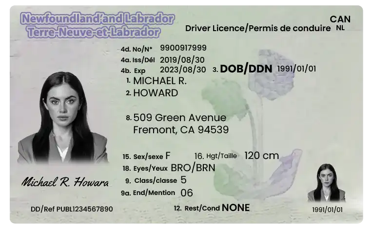 Newfoundland and Labrador Driver Licence